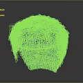 Realistic Human Head Hair 3D Model With Detailed Textured Strands