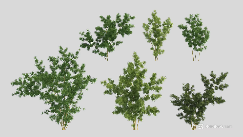 Various Green Arbor Trees With Different Foliage Shapes And Sizes 3d model 