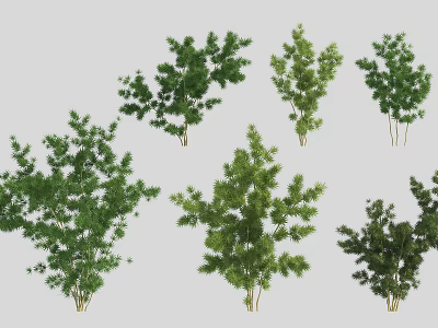Various Green Arbor Trees With Different Foliage Shapes And Sizes 3d model