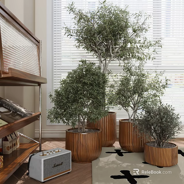 Multiple Bonsai Potted Plants In Wooden Pots Indoor With Natural Light And Shelf 3d model 