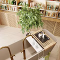 Natural Skincare and Body Products Specialty Store with Shelves Green Plants and Display Counter