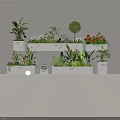 Varied Indoor Green Plants And Vibrant Flowers In White Rectangular Planters