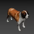 Realistic Saint Bernard Dog 3D Model With Brown And White Fur Standing Pose
