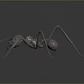 Detailed Metallic Ant 3D Model With Shiny Surface And Long Legs On Dark Background