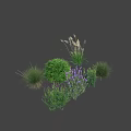 Various Types of Garden Shrubs with Green Foliage Purple Flowers and Ornamental Grasses