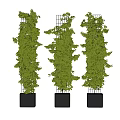 Vertical Decorative Potted Plants With Green Foliage And Metal Frames In Black Pots
