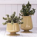 Two Decorative Potted Plants in Yellow Ceramic Pots with Green Foliage and Small Yellow Fruits