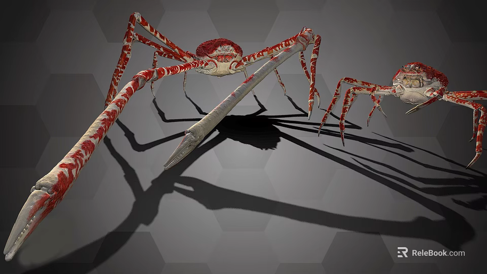 Red Spiders With Long Legs And Red White Patterns On Gray Hexagonal Background 3d model 