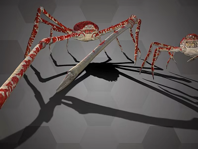 Red Spiders With Long Legs And Red White Patterns On Gray Hexagonal Background 3d model