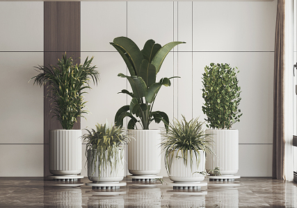 modern potted plant green plant potted plant 3d model