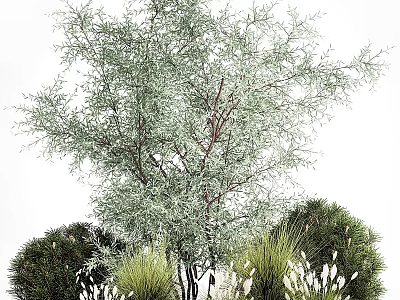 Lush Green Garden Decor With Diverse Plants Tree Shrubs And Grasses 3d model