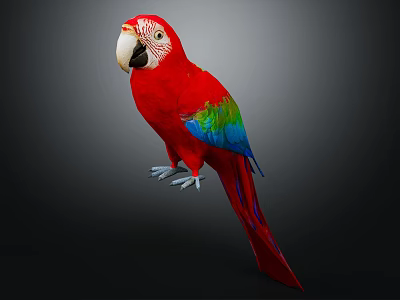 Vibrant Red Parrot with Colorful Green Blue Wings White Beak Long Tail Against Dark Background 3d model