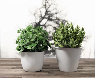 Modern Potted Plant Green Plant Flower Pot Mint 3d model
