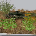 Diverse Shrubs With Green And Orange Foliage Growing Among Dry Grass And Fallen Logs