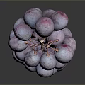 Fresh Juicy Purple Grapes with Water Drops on Dark Background