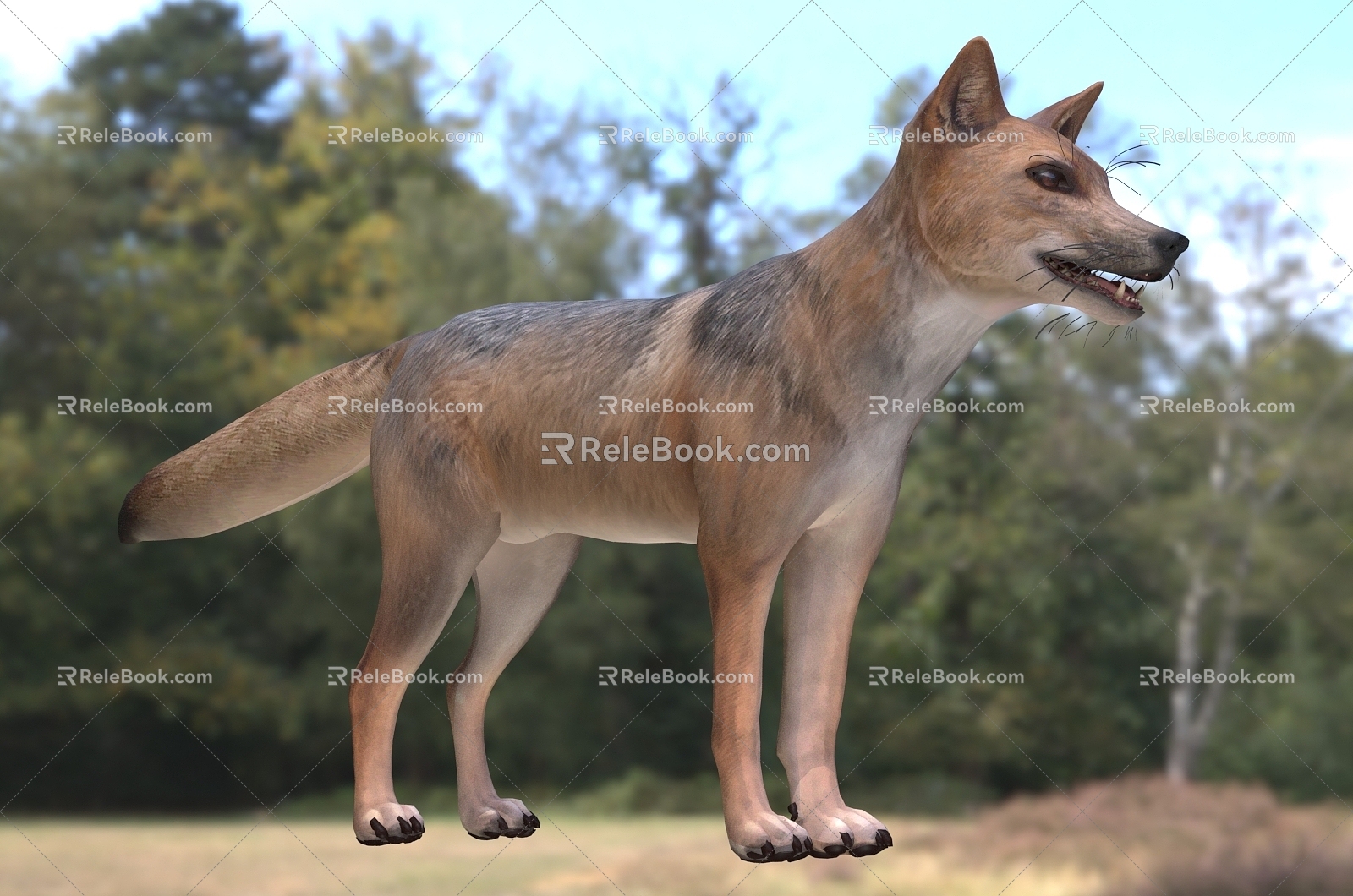 Andean Fox Animal Creatures 3d model