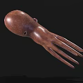 Realistic Brown Squid With Long Tentacles As Marine Aquatic Animal
