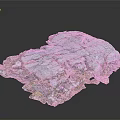 Natural Wood Stone Material With Colorful Cracked Surface And Unique Texture For Decoration