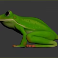 Frog Poison Frog Game Frog Reptile Cold Blooded Animal Reptile 3d model