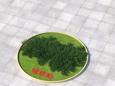 Green Creeping Juniper Shrubs in Circular Planting Area on Gray Paved Ground 3d model