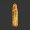 corn corn cartoon corn cartoon food food grain crops 3d model