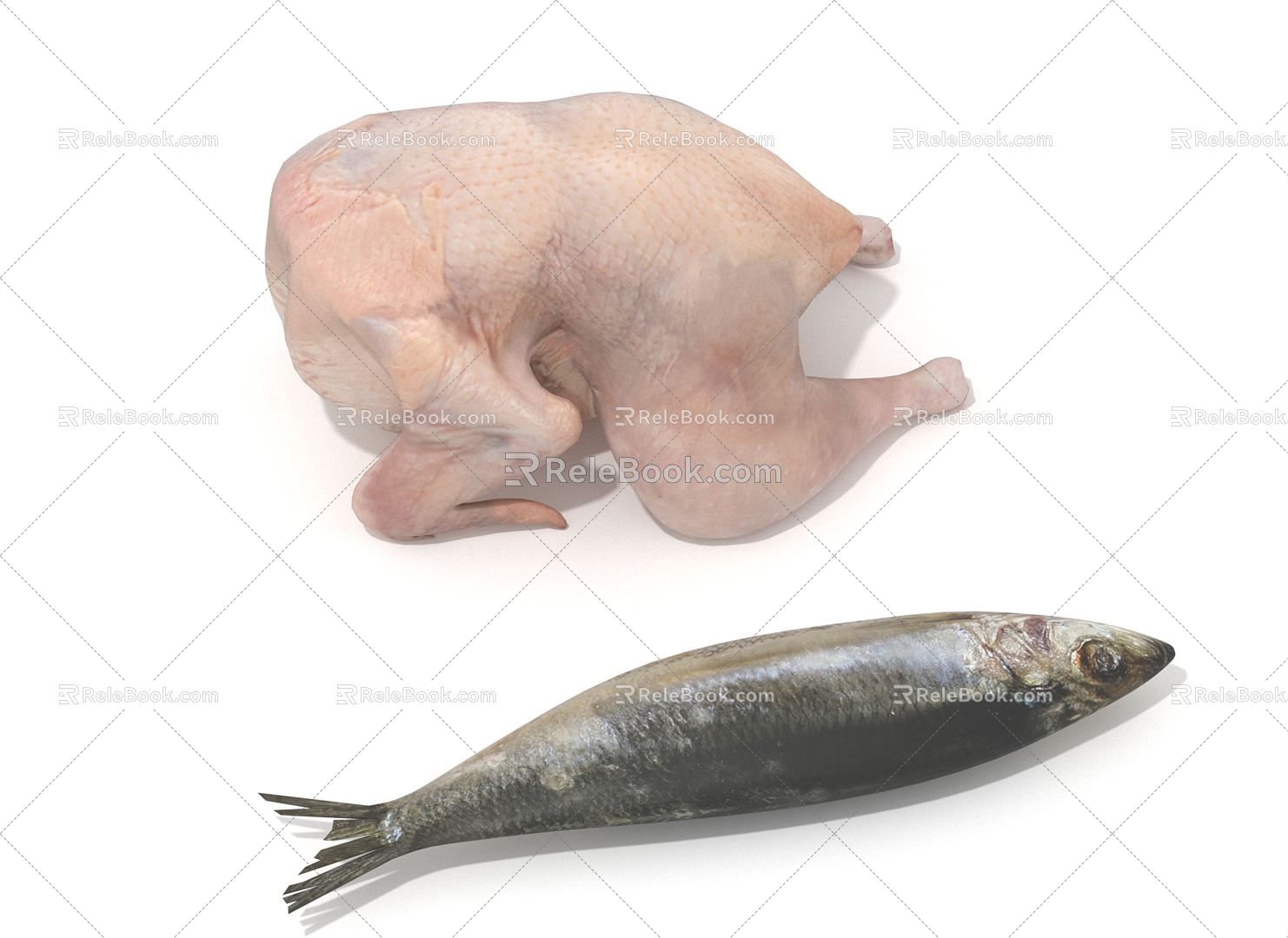 Modern Fish 3d model