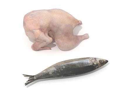 Modern Fish model