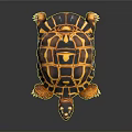 Colorful Tortoise With Yellow And Black Patterned Shell Vibrant Limbs And Head On Dark Background