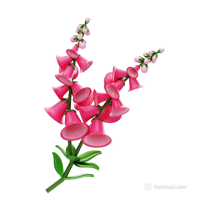 Pink Bell Shaped Flowers With Green Leaves And Buds On Stem Plant 3d model 
