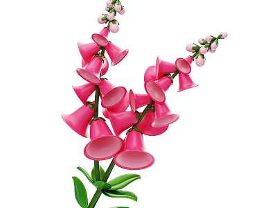 Pink Bell Shaped Flowers With Green Leaves And Buds On Stem Plant 3d model