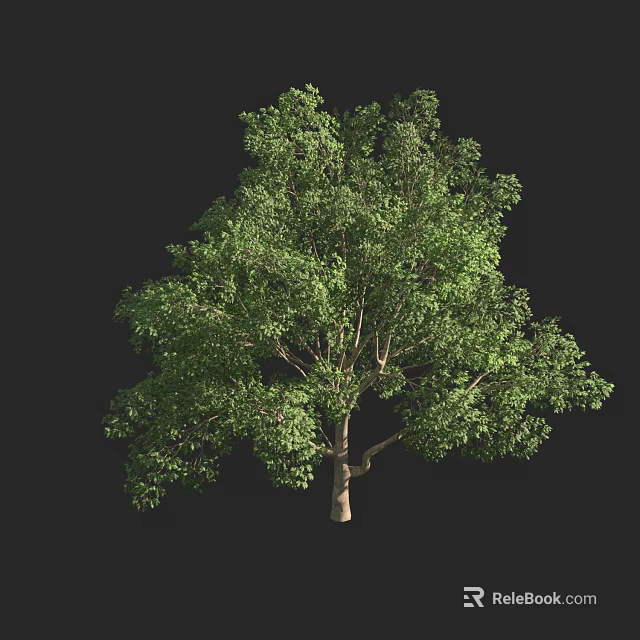 Lush Green Arbor Tree With Healthy Foliage And Strong Trunk Structure 3d model 