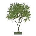 Modern Landscape Trees Meteor Shower 3d model