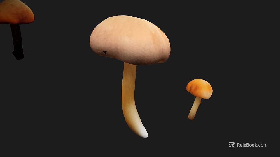Organic Fresh Edible Mushrooms Large Light Brown and Small Orange Varieties 3d model 