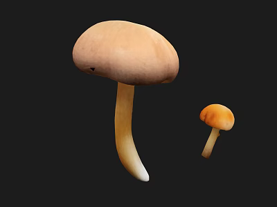 Organic Fresh Edible Mushrooms Large Light Brown and Small Orange Varieties 3d model