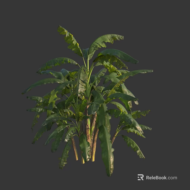 Lush Green Arbor With Large Leaves And Sturdy Stems In Natural Form 3d model 