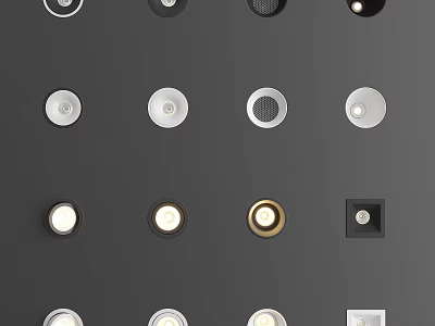 Recessed Downlights And Spotlights In Various Styles With White Gold Black Finishes 3d model