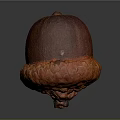 Detailed Acorn With Brown Top And Orange Textured Base On Dark Background
