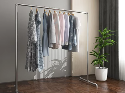 Metal Clothes Rack With Hanging Clothes And Potted Plant On Wooden Floor 3d model