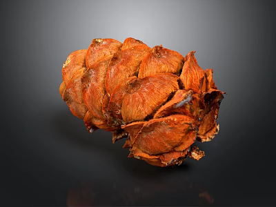 Detailed Orange Scaly Pine Cone Structure With Reflective Surface On Dark Background 3d model