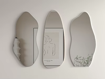 Three Modern Irregular Shaped Mirrors With Line Art And Botanical Reflections For Wall Decor 3d model