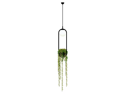 Decorative Pendant Light With Black Frame And Hanging Green Plants 3d model