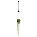 Decorative Pendant Light With Black Frame And Hanging Green Plants