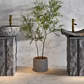 Stone Pedestal Washbasins With Golden Faucets And Small Tree In Gray Pot