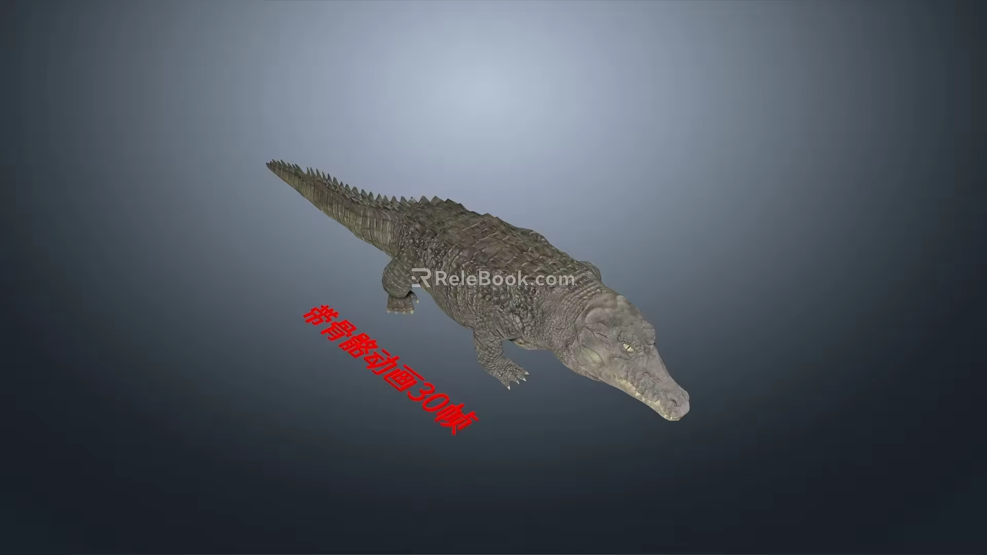 Modern Animal Crocodile Feeding Crocodile Animation Bite Foraging Diet 3d model