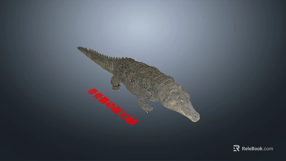 Lifelike Crocodile Reptile Model With Scaly Skin And Long Tail Details 3d model 