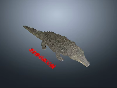 Lifelike Crocodile Reptile Model With Scaly Skin And Long Tail Details 3d model