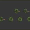 Six Curved Palm Trees With Brown Trunks Green Fronds And Gray Background Reflections