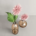 Elegant Soft Pink Dahlia with Layered Petals on White Background