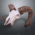 White Ram Skull Decorative Ornament Set With Textured Brown Horns For Home Decor