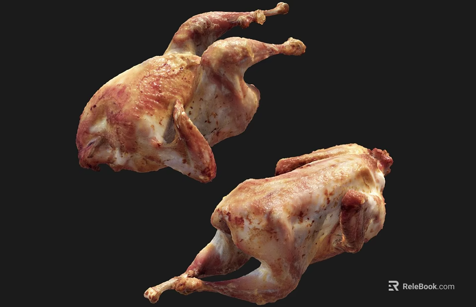 Two Lifelike Reptile Models Displaying Detailed Skin Patterns On Black Surface 3d model 